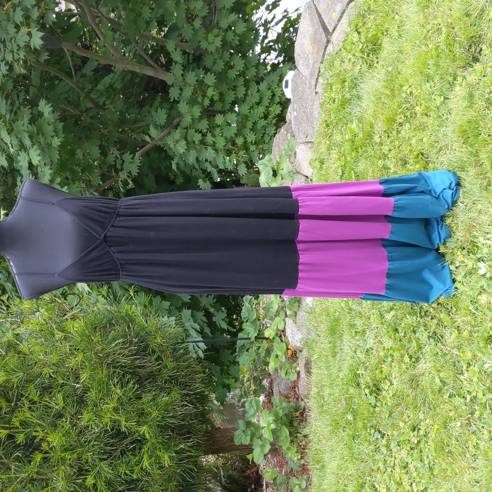 Maxi Dress (Worn)